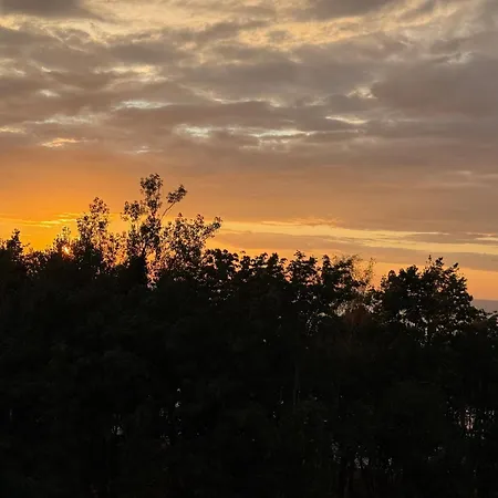 Pinea بوبيروفو