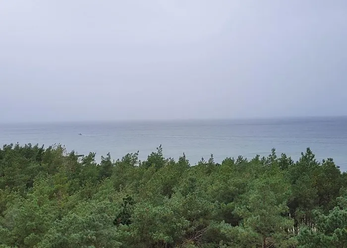 Pinea * بوبيروفو