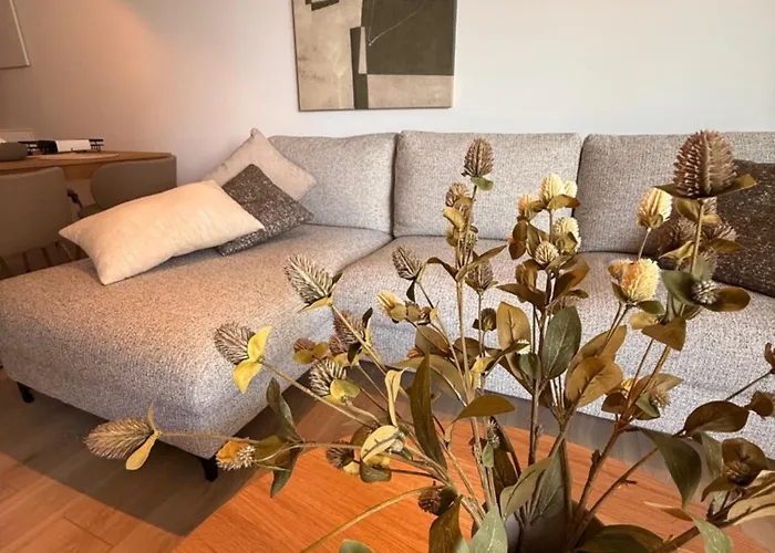 Pinea بوبيروفو